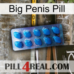 Big Penis Pill viagra1